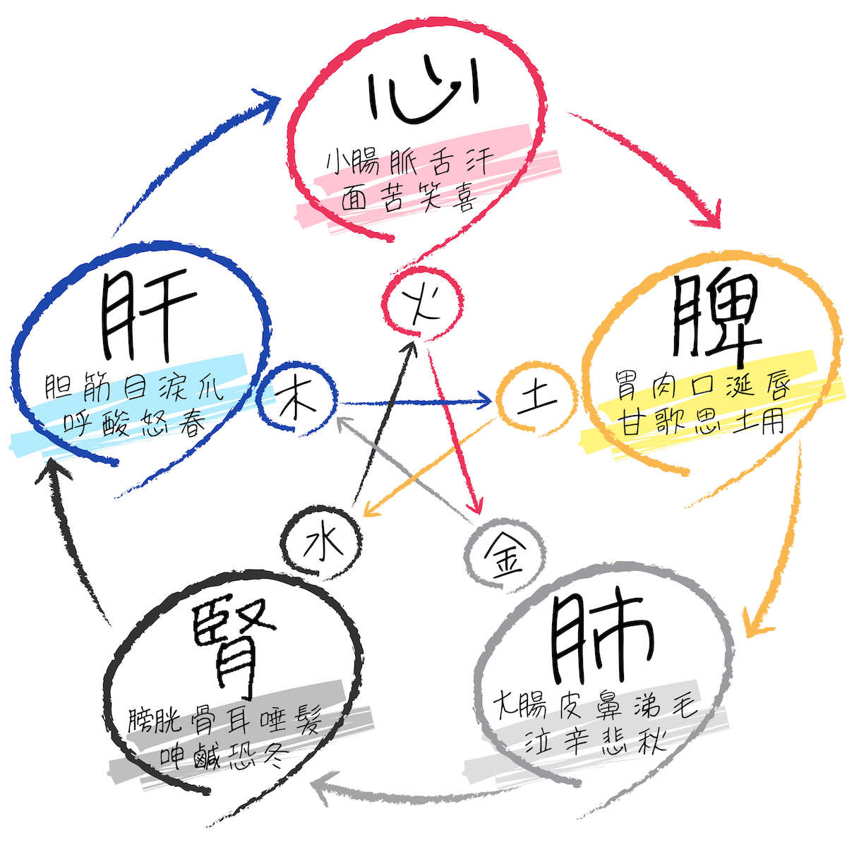 東洋医学考え方